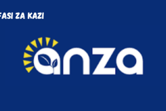 Anza Tanzania Vacancies January 2024