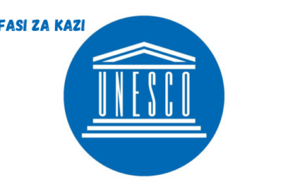 Associate National Project Officer at UNESCO