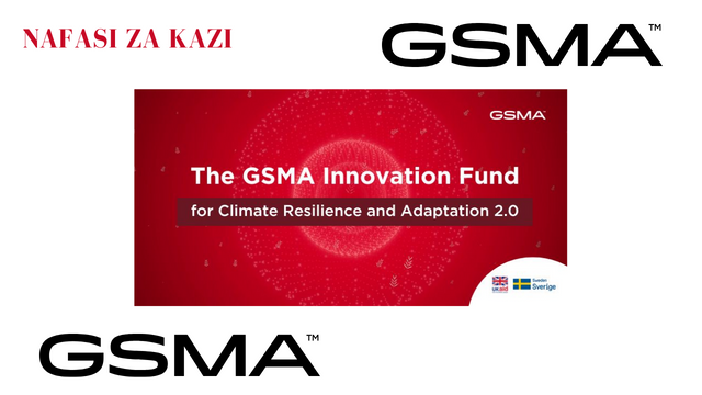 Baseline and Endline Assessments at GSMA