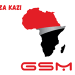 Car Batteries Product Manager at GSM