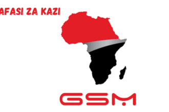 Car Batteries Product Manager at GSM