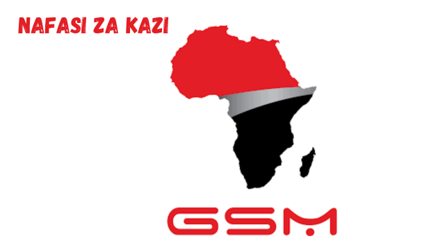 Car Batteries Product Manager at GSM