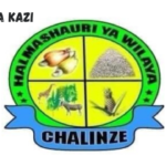 Chalinze District Council Vacancies