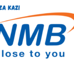 Chief Credit Officer at NMB Bank January 2024