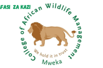 College of African Wildlife Management, Mweka (CAWM) Vacancies