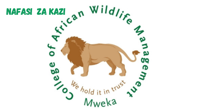 College of African Wildlife Management, Mweka (CAWM) Vacancies