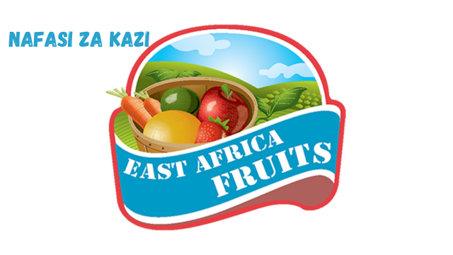 Executive Assistant and Strategy Officer at EA Foods Limited January 2024