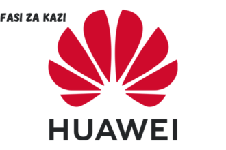 IT Solution Manager at Huawei Tanzania