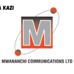 Internal Auditor Vacancies at Mwananchi