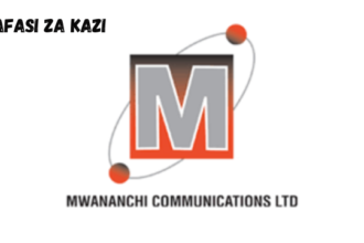 Internal Auditor Vacancies at Mwananchi