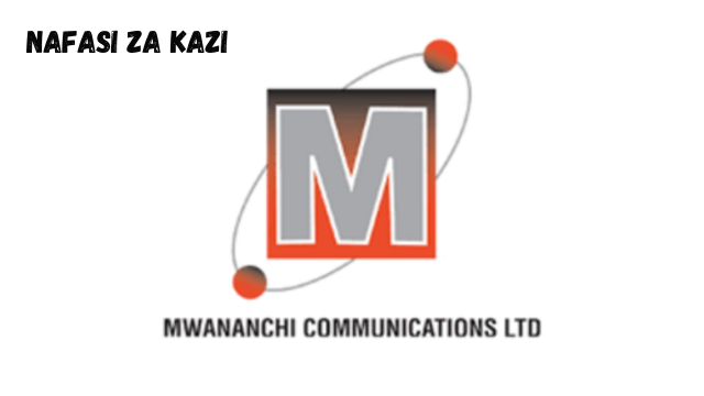 Internal Auditor Vacancies at Mwananchi