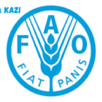 National Project Specialist at FAO January 2024