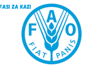 National Project Specialist at FAO January 2024