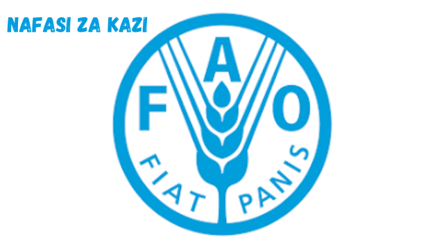 National Project Specialist at FAO January 2024
