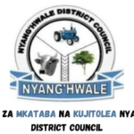 Nyang'hwale District Council Vacancies January 2024