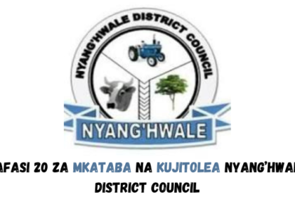 Nyang'hwale District Council Vacancies January 2024