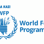 Programme Policy Officer P3 at WFP