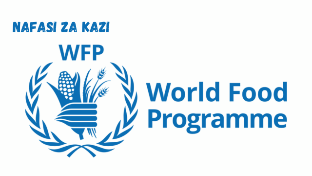 Programme Policy Officer P3 at WFP