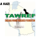 Project Accountant at TAWREF