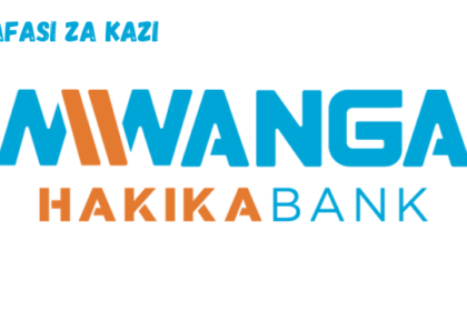 Relationship Manager (MHB Branch) at Mwanga Hakika