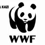 Supply Of Camera Traps And Its Accessories at WWF