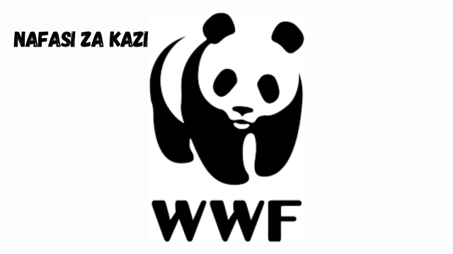Supply Of Camera Traps And Its Accessories at WWF