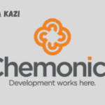 Technical Director at Chemonics International