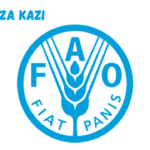 Visibility and Content Creation Specialist at FAO