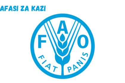 Visibility and Content Creation Specialist at FAO