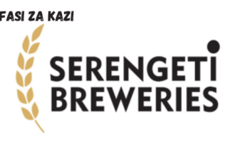 Warehouse Co-Ordinator (Postings) at Serengeti Breweries