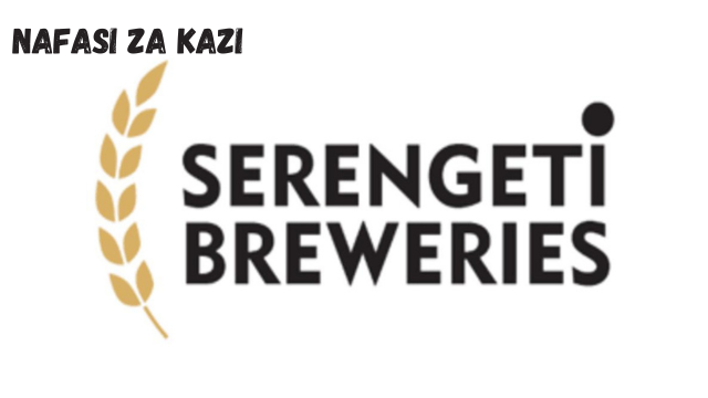 Warehouse Co-Ordinator (Postings) at Serengeti Breweries