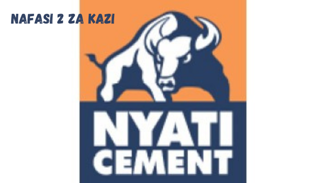 Accounts Officers (02) at Lake Cement Limited February 2024