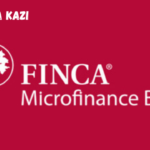 Application Support Analyst at FINCA February 2024