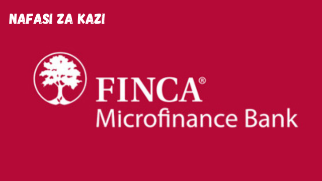 Application Support Analyst at FINCA February 2024