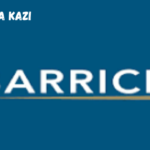 Barrick Gold Mine Vacancies February 2024