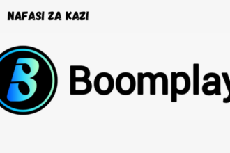 Business Development Manager at Boomplay February 2024