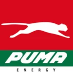 CNG- Project Manager at Puma Energy 2024Energy 2024