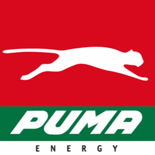 CNG- Project Manager at Puma Energy 2024Energy 2024
