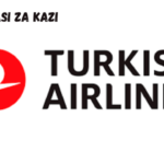 Cargo Representative at Turkish Airlines February 2024