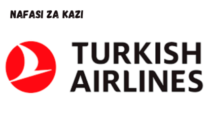 Cargo Representative at Turkish Airlines February 2024