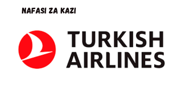 Cargo Representative at Turkish Airlines February 2024