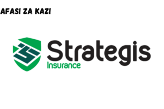 Case Management Executive  (x4) at Strategis Insurance Tanzania Limited February 2024