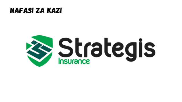 Case Management Executive  (x4) at Strategis Insurance Tanzania Limited February 2024