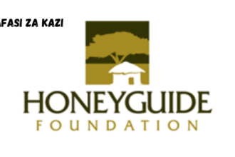 Communications Officer at Honeyguide February 2024