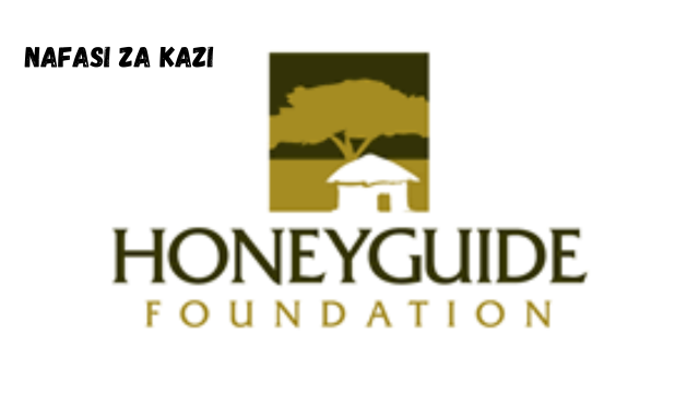 Communications Officer at Honeyguide February 2024