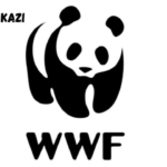 Consultancy at WWF February 2024