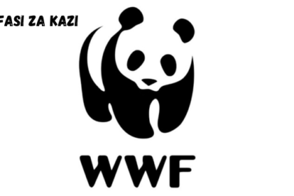 Consultancy at WWF February 2024