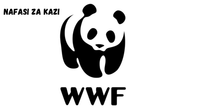 Consultancy at WWF February 2024