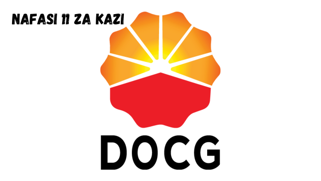 Daqing Oilfield Constructions Group Company Limited (DOCG) Jobs 2024