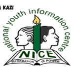 Data Officer at National Youth Information Centre (NICE) 2024